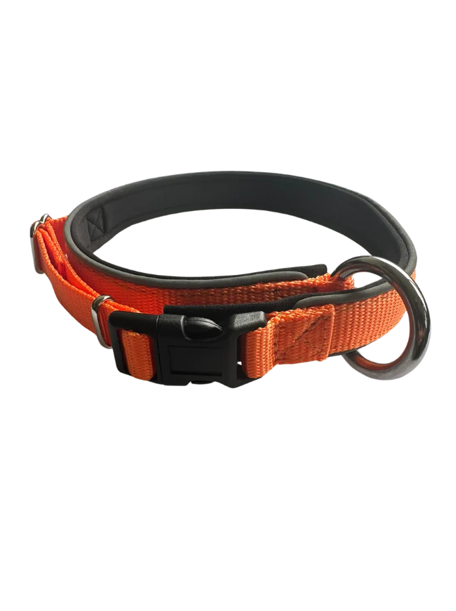 Neoprene collar - Image 2