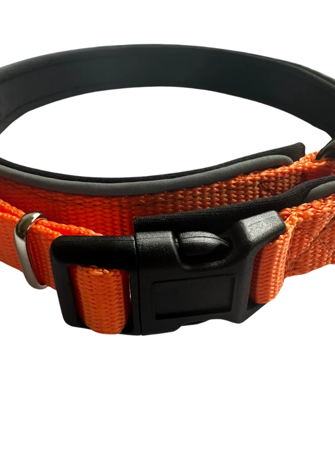Neoprene collar - Image 3