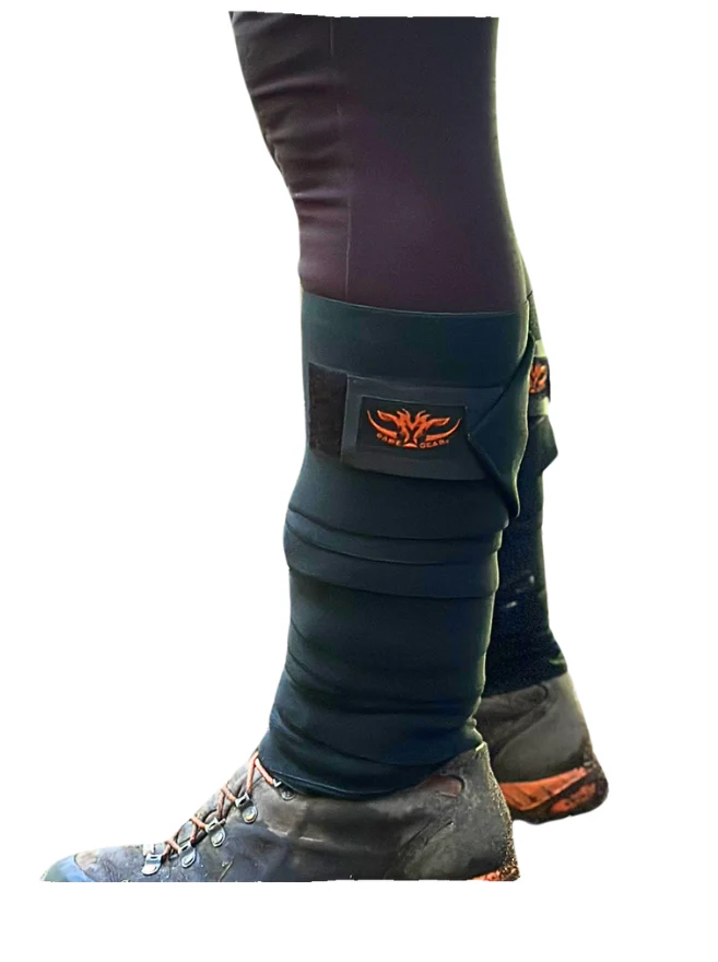 Wraptors - Image 2